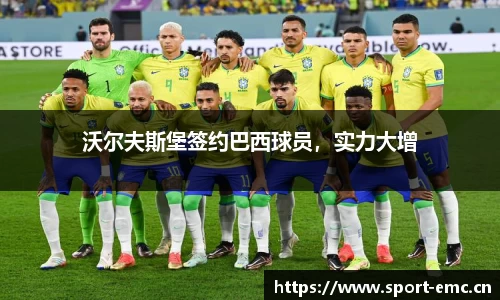emc易倍体育官方网站