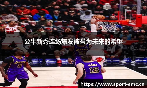 emc易倍体育官方网站