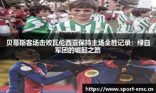 emc易倍体育