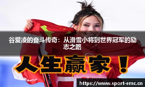 emc易倍体育平台