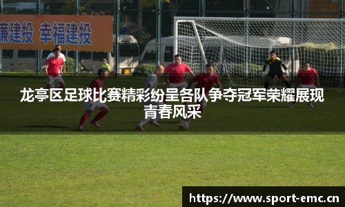emc易倍体育官方网站
