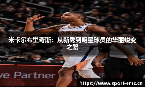emc易倍体育官方网站