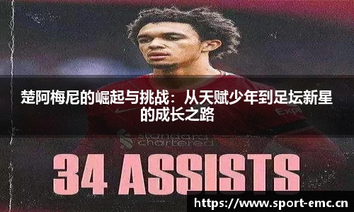 emc易倍体育